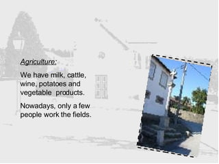 Agriculture:   We have milk, cattle, wine, potatoes and vegetable  products. Nowadays, only a few people work the fields.  