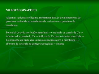 NO BOTÃO SINÁPTICO Algumas vesículas se ligam a membrana através do alinhamento de  proteínas embutida na membrana da vesícula com proteínas da  membrana Potencial de ação nos botões terminais  -> estimula os canais de Ca -> Abertura dos canais de Ca -> influxo de Ca para o interior da célula -> Estimulação da fusão das vesículas atracadas com a membrana -> abertura da vesícula no espaço extracelular = sinapse 
