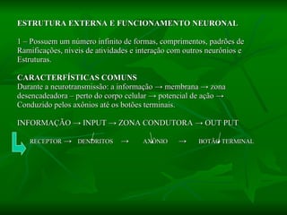 ESTRUTURA EXTERNA E FUNCIONAMENTO NEURONAL 1 – Possuem um número infinito de formas, comprimentos, padrões de Ramificações, níveis de atividades e interação com outros neurônios e  Estruturas. CARACTERFÍSTICAS COMUNS Durante a neurotransmissão: a informação  -> membrana   -> zona  desencadeadora – perto do corpo celular -> potencial de ação -> Conduzido pelos axônios até os botões terminais. INFORMAÇÃO -> INPUT -> ZONA CONDUTORA -> OUT PUT RECEPTOR  ->  DENDRITOS  ->  AXÔNIO  ->  BOTÃO TERMINAL   