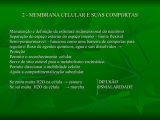 2 - MEMBRANA CELULAR E SUAS COMPORTAS Manutenção e definição da estrutura tridimensional do neurônio Separação do espaço externo do espaço interno – limite flexível Semi-permermeável – funciona como uma barreira de comportas para  regular o fluxo de agentes químicos, água e sais dissolvidos  -> Proteção Permitir o reconhecimento  celular. Serve de sitio estável para o metabolismo enzimático.  Permite direcionar a mobilidade celular Ajuda a compartimentalização subcelular Se entra muita H2O na célula  -> estoura  DIFUSÃO Se sai muita  H2O da célula  -> murcha  OSMALARIDADE 