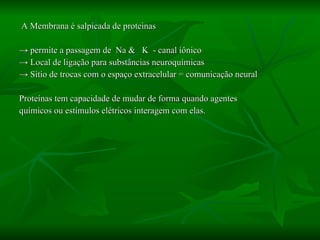 A Membrana é salpicada de proteinas  ->  permite a passagem de  Na &  K  - canal iônico ->  Local de ligação para substâncias neuroquímicas ->  Sítio de trocas com o espaço extracelular = comunicação neural Proteínas tem capacidade de mudar de forma quando agentes químicos ou estímulos elétricos interagem com elas.  