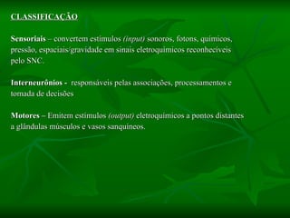 CLASSIFICAÇÃO Sensoriais  – convertem estímulos  (input)  sonoros, fotons, químicos,  pressão, espaciais/gravidade em sinais eletroquímicos reconhecíveis  pelo SNC. Interneurônios -   responsáveis pelas associações, processamentos e tomada de decisões Motores –  Emitem estímulos  (output)  eletroquímicos a pontos distantes  a glândulas músculos e vasos sanquíneos.  