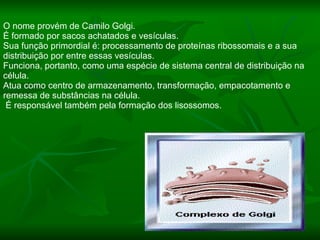 O nome provém de Camilo Golgi. É formado por sacos achatados e vesículas. Sua função primordial é: processamento de proteínas ribossomais e a sua distribuição por entre essas vesículas.  Funciona, portanto, como uma espécie de sistema central de distribuição na célula. Atua como centro de armazenamento, transformação, empacotamento e remessa de substâncias na célula. É responsável também pela formação dos lisossomos. 