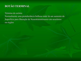 BOTÃO TERMINAL Término do axônio Normalmente uma protuberância bulbosa onde há um aumento da  Superfície para liberação de Neurotransmissores em neurônios  ou órgãos 