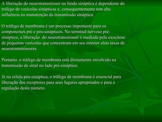 A liberação do neurotransmissor na fenda sináptica é dependente do  tráfego de vesículas sinápticas e, consequentemente tem alta  influência na manutenção da transmissão sináptica.  O tráfego de membrana é um processo importante para os  componentes pré e pós-sinápticos. No terminal nervoso pré- sináptico, a liberação  do neurotransmissor é mediada pela exocitose  de pequenas vesículas que concentram em seu interior altas taxas de  neurotransmissores.  Portanto, o tráfego de membrana está diretamente envolvido na  transmissão de sinal no lado pré-sináptico. Já na célula pós-sináptica, o tráfego de membrana é essencial para  liberação dos receptores para seus lugares apropriados e para a  regulação deste número. 