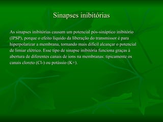 Sinapses inibitórias As sinapses inibitórias causam um potencial pós-sináptico inibitório  (IPSP), porque o efeito líquido da liberação do transmissor é para  hiperpolarizar a membrana, tornando mais difícil alcançar o potencial  de limiar elétrico. Esse tipo de sinapse inibitória funciona graças à  abertura de diferentes canais de ions na membranas: tipicamente os  canais cloreto (Cl-) ou potássio (K+). 