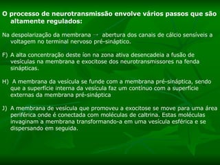 O processo de neurotransmissão envolve vários passos que são altamente regulados:   Na despolarização da membrana  ->   abertura dos canais de cálcio sensíveis a voltagem no terminal nervoso pré-sináptico.  A alta concentração deste íon na zona ativa desencadeia a fusão de vesículas na membrana e exocitose dos neurotransmissores na fenda  sinápticas. A membrana da vesícula se funde com a membrana pré-sináptica, sendo que a superfície interna da vesícula faz um contínuo com a superfície externas da membrana pré-sináptica  A membrana de vesícula que promoveu a exocitose se move para uma área periférica onde é conectada com moléculas de caltrina. Estas moléculas invaginam a membrana transformando-a em uma vesícula esférica e se dispersando em seguida. 