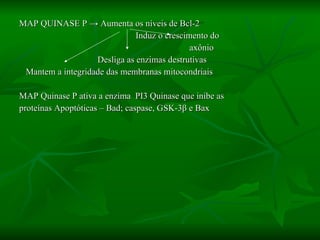 MAP QUINASE P  -> Aumenta os níveis de Bcl-2 Induz o crescimento do  axônio Desliga as enzimas destrutivas Mantem a integridade das membranas mitocondriais  MAP Quinase P ativa a enzima  PI3 Quinase que inibe as  proteínas Apoptóticas – Bad; caspase, GSK-3 β  e Bax 