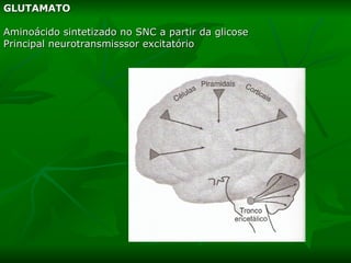 GLUTAMATO Aminoácido sintetizado no SNC a partir da glicose Principal neurotransmisssor excitatório 