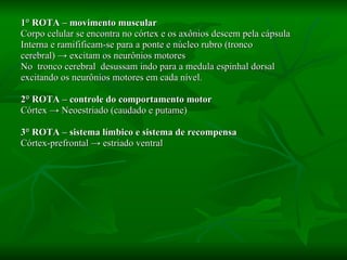 1° ROTA – movimento muscular Corpo celular se encontra no córtex e os axônios descem pela cápsula  Interna e ramifificam-se para a ponte e núcleo rubro (tronco  cerebral)  -> excitam os neurônios motores No  tronco cerebral  desussam indo para a medula espinhal dorsal  excitando os neurônios motores em cada nível. 2° ROTA – controle do comportamento motor Córtex  -> Neoestriado (caudado e putame) 3° ROTA – sistema límbico e sistema de recompensa Córtex-prefrontal  -> estriado ventral 