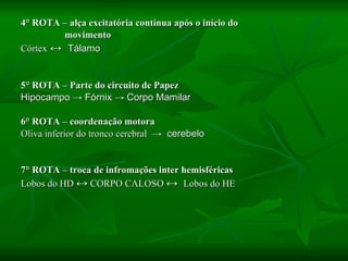 4° ROTA – alça excitatória contínua após o início do movimento Córtex   ↔  Tálamo 5° ROTA – Parte do circuito de Papez Hipocampo -> Fórnix -> Corpo Mamilar 6° ROTA – coordenação motora Oliva inferior do tronco cerebral  ->  cerebelo 7° ROTA – troca de infromações inter hemisféricas Lobos do HD  ↔  CORPO CALOSO  ↔  Lobos do HE 