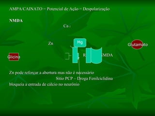 AMPA/CAINATO = Potencial de Ação = Despolarização NMDA   Ca +2 Zn  Receptor NMDA Zn pode reforçar a abertura mas não é necessário Sítio PCP – Droga Fenilciclidina  bloqueia a entrada de cálcio no neurônio  Mg Glutamato Glicina 