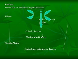 4° ROTA Neoestriado  -> Substância Negra Reticulada Tálamo  Núcleo Pedunculo- pontino   Colículo Superior Movimentos Oculares Circuito Motor Controle dos músculos do Tronco 