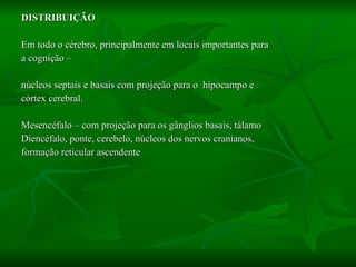 DISTRIBUIÇÃO Em todo o cérebro, principalmente em locais importantes para  a cognição –  núcleos septais e basais com projeção para o  hipocampo e  córtex cerebral. Mesencéfalo – com projeção para os gânglios basais, tálamo Diencéfalo, ponte, cerebelo, núcleos dos nervos cranianos,  formação reticular ascendente 