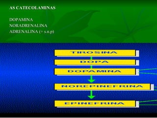 AS CATECOLAMINAS DOPAMINA NORADRENALINA ADRENALINA (+ s.n.p) 