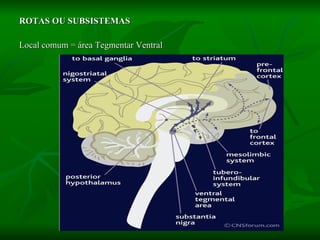 ROTAS OU SUBSISTEMAS Local comum = área Tegmentar Ventral 