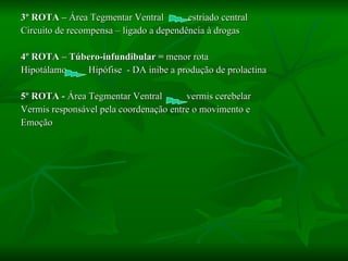 3º ROTA –  Área Tegmentar Ventral  estriado central Circuito de recompensa – ligado a dependência à drogas   4º ROTA – Túbero-infundibular =  menor rota Hipotálamo  Hipófise  - DA inibe a produção de prolactina 5º ROTA -  Área Tegmentar Ventral  vermis cerebelar Vermis responsável pela coordenação entre o movimento e  Emoção 