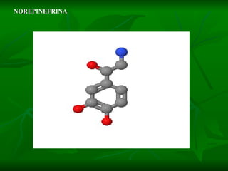 NOREPINEFRINA 