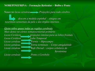 NOREPINEFRINA – Formação Reticular – Bulbo e Ponte Nasce no  locus ceruleus  Projeções para todo cérebro descem a medula espinhal  - sinapse em neurônios sensoriais da pele e dos órgãos internos. Efeito sobre quase todas as regiões cerebrais Mais denso no córtex somatosensorial primário  Locus Cerúleos  projeções intensa para os lobos frontais Locus Cerúleos  Lobo Temporal Lócus ceruleus  Fornix – Hipocampo  Lócus ceruleus  Estria terminais -  Corpo amigdalóide Lócus ceruleus  Rafe Dorsal – corpos celulares de  Serotonina  Lócus ceruleus  Ponte e Cerebelo 