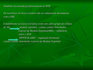 Também encontrada perifericamente no SNS Os neurônios do locus ceruleus não se comunicam diretamente com a IML Caudalmente ao Locus Ceruleus existe um outro grupo de células de NE  medula espinhal - coluna celular Intermédio  Lateral da Medula Espinhal(IML) – influência  sobre o SNS HIPOTÁLAMO – regulação hormonal coluna celular Intermédio Lateral da Medula Espinhal 