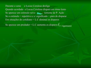 Durante o sono  o Locus Ceruleus desliga Quando acordado  o Locus Ceruleus dispara em ritmo lento Se aparece um estímulo novo  +  torrente de P. Ação Se o estímulo = repetitivo e s/ significado = para de disparar Em situações do cotidiano = L.C diminui os disparos Se aparece um predador = L.C aumenta os disparos  ( + vigorosos) 