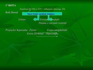 1º ROTA Neurônios DA SNc e ATV = influencia a descarga   DA  Rafe Dorsal Córtex  Estriado (caudado  Putame e estriado ventral) Projeções Separadas  Fórnix  Corpo amigdalóide  Estria Terminal  Hipocampo Feixe fronto cerebral mediano   
