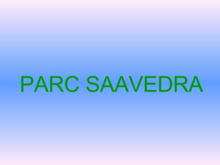 PARC SAAVEDRA 