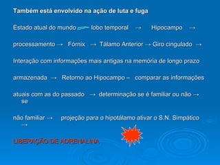 Também está envolvido na ação de luta e fuga Estado atual do mundo  lobo temporal  ->  Hipocampo  ->  processamento ->  Fórnix  ->  Tálamo Anterior -> Giro cingulado  -> Interação com informações mais antigas na memória de longo prazo  armazenada  ->  Retorno ao Hipocampo –  comparar as informações  atuais com as do passado  ->  determinação se é familiar ou não -> se não familiar ->  projeção para o hipotálamo ativar o S.N. Simpático -> LIBERAÇÃO DE ADRENALINA 