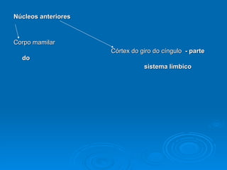 Núcleos anteriores Corpo mamilar  Córtex do giro do cíngulo   - parte do  sistema límbico  