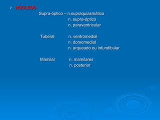 NÚCLEOS   Supra-óptico – n.supraquiasmático n. supra-óptico n. paraventricular Tuberal  n. ventromedial n. dorsomedial n. arqueado ou infundibular Mamilar  n. mamilares n. posterior  