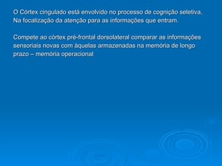 O Córtex cingulado está envolvido no processo de cognição seletiva, Na focalização da atenção para as informações que entram. Compete ao córtex pré-frontal dorsolateral comparar as informações  sensoriais novas com àquelas armazenadas na memória de longo  prazo – memória operacional 