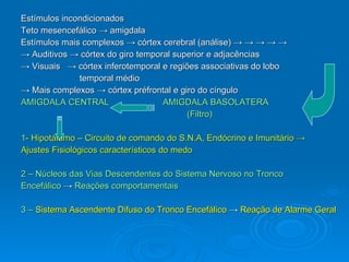 Estímulos incondicionados  Teto mesencefálico -> amigdala Estímulos mais complexos -> córtex cerebral (análise) -> -> -> -> -> ->  Auditivos -> córtex do giro temporal superior e adjacências ->  Visuais  -> córtex inferotemporal e regiões associativas do lobo  temporal médio ->  Mais complexos -> córtex préfrontal e giro do cíngulo AMIGDALA CENTRAL   AMIGDALA BASOLATERA (Filtro) 1-  Hipotálamo – Circuito de comando do S.N.A, Endócrino e Imunitário -> Ajustes Fisiológicos característicos do medo 2 – Núcleos das Vias Descendentes do Sistema Nervoso no Tronco Encefálico  ->  Reações comportamentais 3 –  Sistema Ascendente Difuso do Tronco Encefálico  ->  Reação de Alarme Geral   