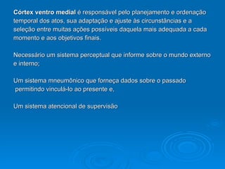 Córtex ventro medial  é responsável pelo planejamento e ordenação  temporal dos atos, sua adaptação e ajuste às circunstâncias e a  seleção entre muitas ações possíveis daquela mais adequada a cada  momento e aos objetivos finais. Necessário um sistema perceptual que informe sobre o mundo externo  e interno; Um sistema mneumônico que forneça dados sobre o passado permitindo vinculá-lo ao presente e, Um sistema atencional de supervisão 