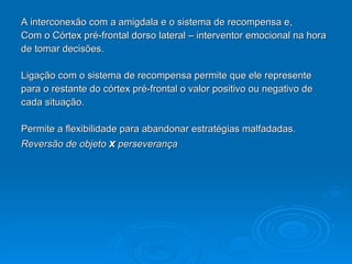 A interconexão com a amigdala e o sistema de recompensa e, Com o Córtex pré-frontal dorso lateral – interventor emocional na hora  de tomar decisões. Ligação com o sistema de recompensa permite que ele represente  para o restante do córtex pré-frontal o valor positivo ou negativo de  cada situação. Permite a flexibilidade para abandonar estratégias malfadadas. Reversão de objeto  x  perseverança   
