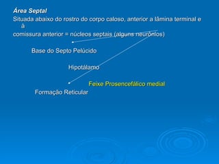 Área Septal Situada abaixo do rostro do corpo caloso, anterior a lâmina terminal e à comissura anterior = núcleos septais (alguns neurônios) Base do Septo Pelúcido Hipotálamo Feixe Prosencefálico medial Formação Reticular 