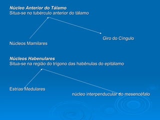 Núcleo Anterior do Tálamo Situa-se no tubérculo anterior do tálamo Giro do Cíngulo Núcleos Mamilares Núcleos Habenulares Situa-se na região do trígono das habênulas do epitálamo Estrias Medulares  núcleo interpenducular do mesencéfalo 