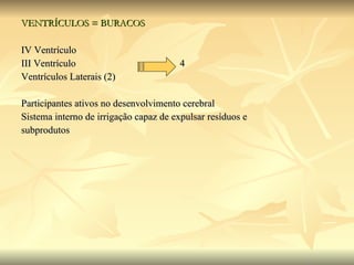 VENTRÍCULOS = BURACOS IV Ventrículo III Ventrículo  4 Ventrículos Laterais (2) Participantes ativos no desenvolvimento cerebral Sistema interno de irrigação capaz de expulsar resíduos e  subprodutos 