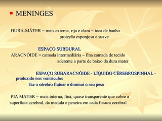 MENINGES DURA-MÁTER = mais externa, rija e clara = toca de banho proteção esponjosa e suave ESPAÇO SUBDURAL ARACNÓIDE = camada intermediária – fina camada de tecido  aderente a parte de baixo da dura mater  ESPAÇO SUBARACNÓIDE - LÍQUIDO CÉREBROSPINHAL - produzido nos ventrículos faz o cérebro flutuar e diminui o seu peso PIA MATER = mais interna, fina, quase transparente que cobre a superfície cerebral, da medula e penetra em cada fissura cerebral 