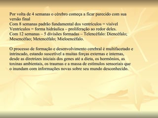 Por volta de 4 semanas o cérebro começa a ficar parecido com sua  versão final Com 8 semanas padrão fundamental dos ventrículos = visível Ventrículos = forma hidráulica – proliferação ao redor deles. Com 12 semanas – 5 divisões formadas – Telencéfalo: Diencéfalo;  Mesencéfao; Metencéfalo; Mieloencéfalo. O processo de formação e desenvolvimento cerebral é multifacetado e  intrincado, estando suscetível a muitas forças externas e internas,  desde as diretrizes iniciais dos genes até a dieta, os hormônios, as toxinas ambientais, os traumas e a massa de estímulos sensoriais que o inundam com informações novas sobre seu mundo desconhecido. 