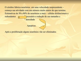 O cérebro fabrica neurônios  em uma velocidade surpreendente –  começa sua atividade com um número muito maior do que termina. Estimativas de 50 a 80% de neurônios a mais – células disfuncionais e redundantes  Necessário a redução de seu tamanho e densidade  Apoptose. Após a proliferação alguns neurônios vão ser eliminados  