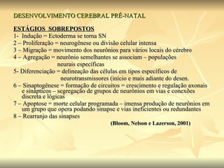 DESENVOLVIMENTO CEREBRAL PRÉ-NATAL ESTÁGIOS  SOBREPOSTOS 1-  Indução = Ectoderma se torna SN 2 – Proliferação = neurogênese ou divisão celular intensa 3 – Migração = movimento dos neurônios para vários locais do cérebro 4 – Agregação = neurônio semelhantes se associam – populações neurais específicas 5- Diferenciação = delineação das células em tipos específicos de neurotransmissores (início e mais adiante do desen. 6 – Sinaptogênese = formação de circuitos = crescimento e regulação axonais e sinápticos – segregação de grupos de neurônios em vias e conexões discreta e lógicas 7 – Apoptose = morte celular programada – imensa produção de neurônios em um grupo que opera podando sinapse e vias ineficientes ou redundantes 8 – Rearranjo das sinapses  (Bloom, Nelson e Lazerson, 2001) 