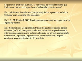 Seguem um gradiente químico, as moléculas de reconhecimento que Podem ser atrativas ou repulsivas = “rebocadores moleculares” Ex 1: Moléculas Semaforinas (colapsinas)  induz a ponta do axônio a Colapsar com seu nicho pós-sináptico. Ex 2: As Moléculas RAGS direcionam o axônio para longe por meio de ações repulsoras Ex 3:Semaforinas; Colapsinas; netrinas; moléculas de adesão celular  neuronal (NCAM), integrinas, caderinas e citocinas supervisionam a  interrupção do crescimento axônico, alteração do alvo de comunicação  do neurônio, reparação, regeneração e reconstrução das sinapses  conforme as crescentes tarefas do neurônio. 