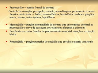 Prosencéfalo = porção frontal do cérebro Controle da sensação, percepção, emoção, aprendizagem, pensamento e outras funções intelectuais  -- bulbo; tratos olfativos, hemisférios cerebrais, gânglios nasais, tálamo, tratos ópticos, hipotálamo Mesencéfalo = porção intermediária do cérebro que une o tronco cerebral ao prosencéfalo e serve de passagem aos estímulos aferentes e eferentes Envolvido em certas funções de processamento sensorial, atenção e excitação básica Robencéfalo = porção posterior do encéfalo que envolve o quarto ventrículo 