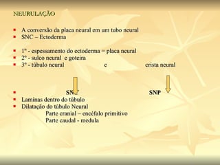 NEURULAÇÃO   A conversão da placa neural em um tubo neural SNC – Ectoderma 1º - espessamento do ectoderma = placa neural 2º - sulco neural  e goteira  3º - túbulo neural  e  crista neural SNC   SNP Laminas dentro do túbulo  Dilatação do túbulo Neural Parte cranial – encéfalo primitivo  Parte caudal - medula  
