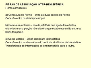 FIBRAS DE ASSOCIAÇÃO INTER-HEMISFÉRICA  Fibras comissurais a) Comissura do Fórnix – entre as duas pernas do Fórnix  Conexão entre os dois hipocampos b) Comissura anterior – porção olfatória que liga bulbo e tratos  olfatórios e uma porção não olfatória que estabelece união entre os  lobos temporais c) Corpo Caloso – Maior comissura telencefálica Conexão entre as duas áreas do corticais simétricas do Hemisfério Transferência de informações de um hemisfério para o  outro. 