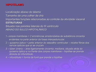 HIPOTÁLAMO Localização abaixo do tálamo Tamanho de uma colher de chá Importantes funções relacionadas ao controle da atividade visceral ESTRUTURAS Situada nas paredes laterais do III ventrículo ABAIXO DO SULCO HIPOTALÂMICO 1- corpos mamilares = 2 eminências arredondadas de substância cinzenta evidentes na parte anterior da fossa interpeduncular. 2 – quiasma óptico = parte anterior do assoalho ventricular – recebe fibras dos nervos ópticos que aí se cruzam 3 – túber cinério – área ligeiramente cinzenta, mediana, situada atrás do quiasma óptico e na frente dos corpos mamilares – hipófise se prende através do infundíbulo. 4 – infundíbulo = forma de funil que prende a hipófise 
