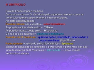 III VENTRÍCULO Estreita Fenda ímpar e mediana Comunica-se com o IV Ventrículo pelo aqueduto cerebral e com os  Ventrículos laterais pelos foramens interventriculares. Ao corte sagital Mediano Paredes laterais  são expostas –  sulco hipotalâmico As porções acima deste sulco =  Tálamo As porções abaixo deste sulco = Hipotálamo Unindo os dois Tálamos =  aderência intertalâmica Assoalho do III Ventrículo  –  quiasma óptico, infundíbulo, tuber cinério e corpos mamilares  (hipotálamo) Parte posterior  e acima do sulco hipotalâmico =  Epitálamo Saindo de cada lado do epitálamo e percorrendo a parte mais alta das paredes laterais do III Ventrículo =  tela coróide   -> plexo coróide  Ventrículos Laterais. 