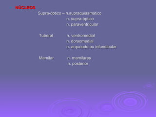 NÚCLEOS   Supra-óptico – n.supraquiasmático n. supra-óptico n. paraventricular Tuberal  n. ventromedial n. dorsomedial n. arqueado ou infundibular Mamilar  n. mamilares n. posterior  