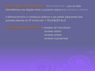 Parede Anterior   do III Ventrículo =  lâmina terminal  – une os dois  Hemisférios e se dispõe entre o quiasma óptico e a  comissura anterior A lâmina termina a comissura anterior e as partes adjacentes das  paredes laterais do III Ventrículo = TELENCÉFALO. Evaginações do III Ventrículo  = recesso do infundíbulo recesso óptico recesso pineal recesso suprapineal 