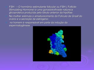 FSH ->  O hormônio estimulante folicular ou FSH ( Follicle-Stimulating Hormone) é uma gonadotrofinade natureza glicoproteica produzida pelo lóbulo anterior da hipófise.  Na mulher estimula o amadurecimento do Folículo de Graaf do ovário e a secreção de estrógeno; no homem é responsável em parte da indução da espermatogênese 